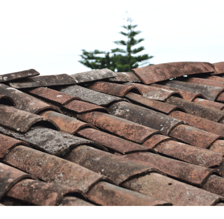 Pourquoi l’utilisation de la javel pour nettoyer une toiture en région nantaise