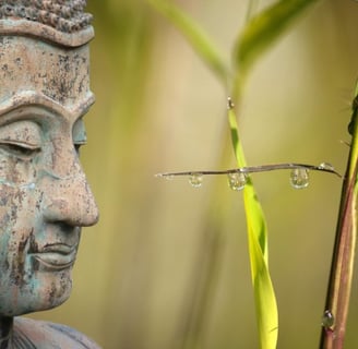 a buddha statue with a small insect on it