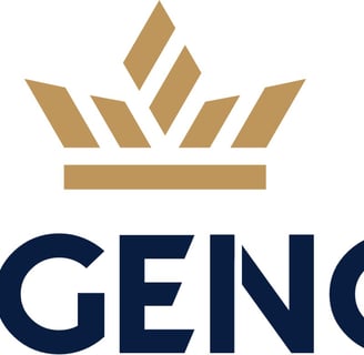 Logo sponsor REGENCY