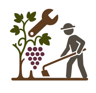 Vineyard maintenance in Mallorca | Viñarts
