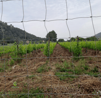 Ökologische Dienstleistungen für Weinberge, Weingüter, Bauernhöfe und Landhotels auf Mallorca