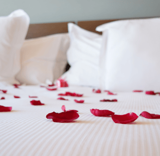 pétales de rose sur un lit