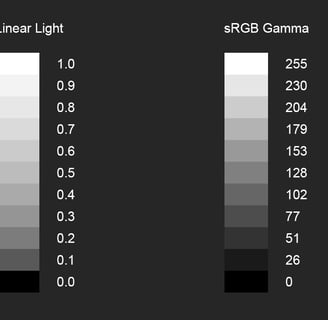 An image showing how brightness varies in linear space vs gamma space