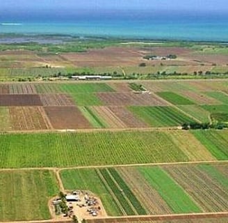 Teren pentru construcții sau agricol în Strășeni