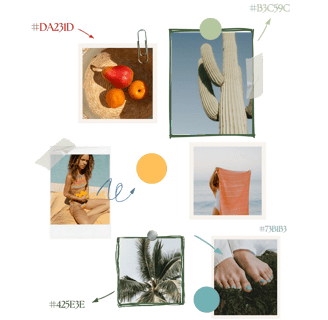 a collage of photos of a woman's feet and a handbag