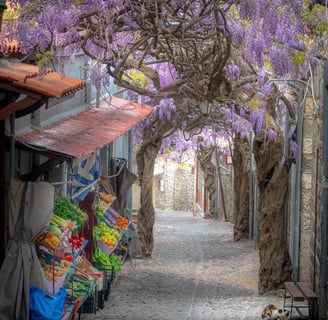 Rues avec Glycines à Molyvos, sur l'île de Lesbos en Grèce @eleonora_pouwels_photography