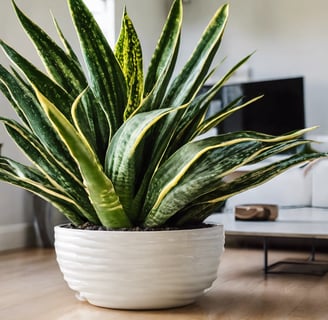 a group of people holding plants