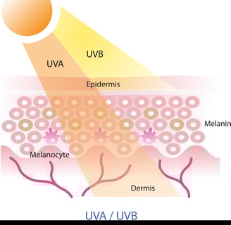 UVA ve UVB ışınları