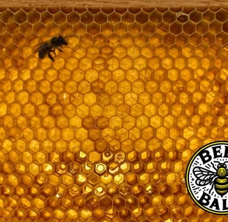 a beehive with bees and beeswax honeycombs and the Bee's Balm logo