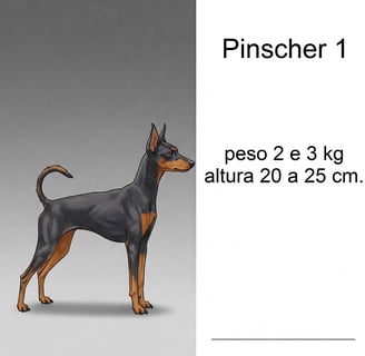 pinscher 1