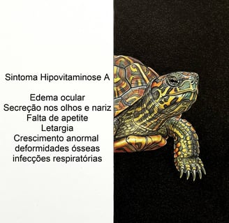 sintoma_hipovitaminose_A_em_tartarugas