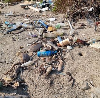 Mental Health and Pollution An Unseen Link