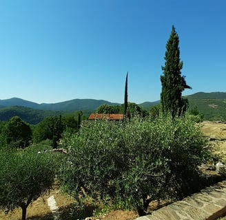 Le Jardin