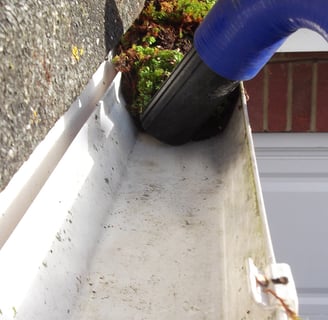 Gutter vac clearing a gutter of massive growth