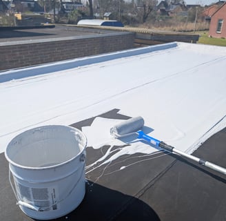 silicoenen coating