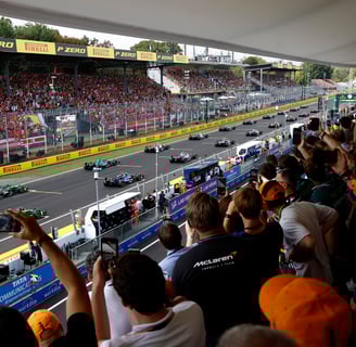 a group of people watching a race
