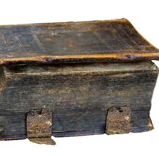 A very very old and ominous looking tome of forbidden knowledge.