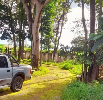 Entrada da chácara com área verde
