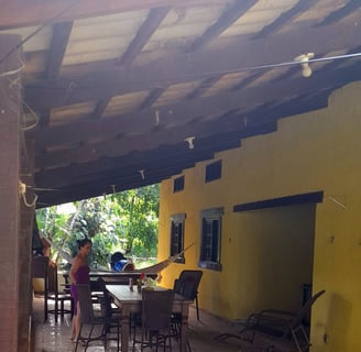Vista para a natureza a partir das janelas da casa
