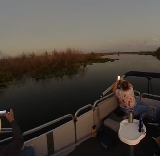 Night Gator Tour
