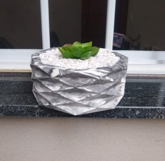 a planter with a plant in a window