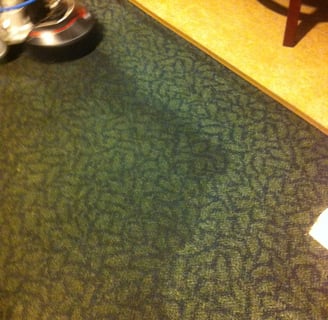 "Low moisture carpet cleaning in Daytona Beach, FL by TEC Floor Services."