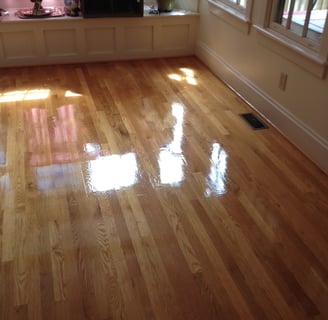 "Hardwood Cleaning and Polishing in Ponce Inlet by TEC Floor Services."