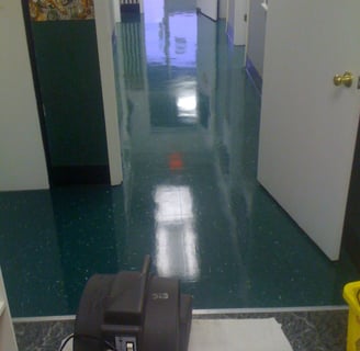 VCT Stripping and Waxing services in Ormond Beach, Florida