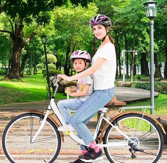 papaseat child bike seat model image