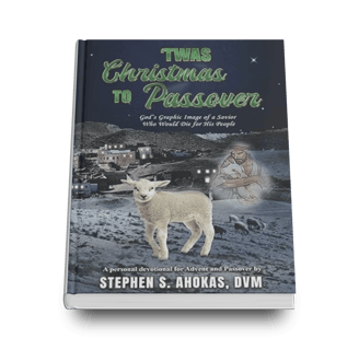 a book cover of this is a book about a sheep