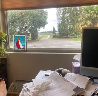looking out a window