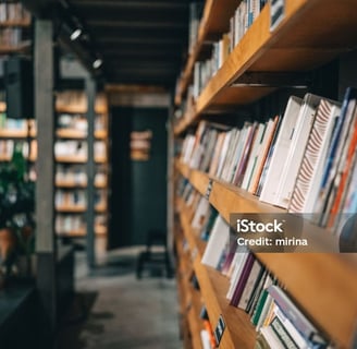 a book shelf with books and a plant in the foreground