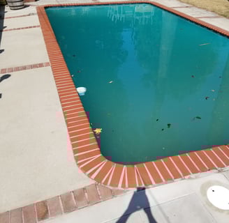 Pool shock