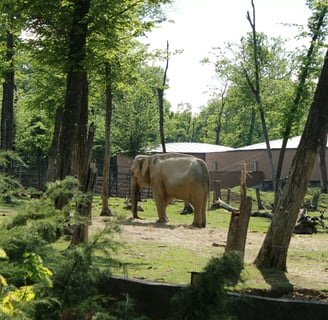 best zoos to explore
