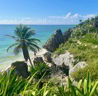 carribean beaches