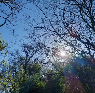 hot weather in april