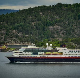 a norwegian fjord cruise in the sea