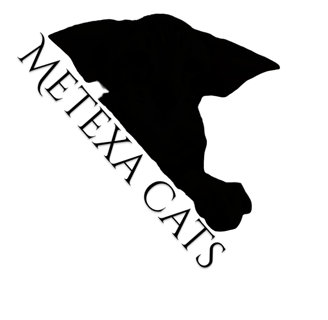 Metexa Cats logo - U.K. cat breeders & exhibitors of Quality Oriental & Siamese cats.