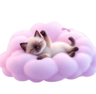 Metexa Orientals & Siamese kittens - pure bliss