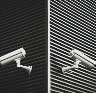 Two cameras mounted on a wall near a building and  integrated with 24/7 CCTV remote monitoring
