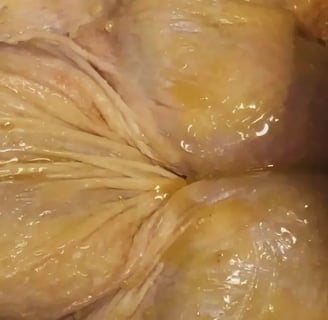 Whole raw spatchcocked chicken rubbed with butter before seasoning