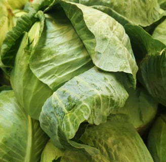 multiple green cabbage heads