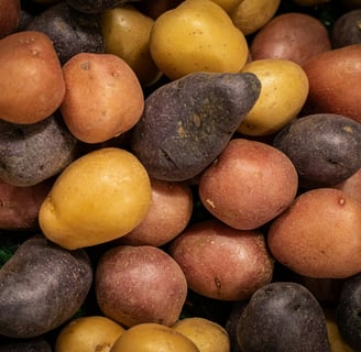 potato medley