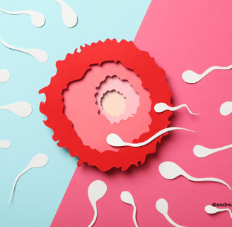 óvulo espermatozoides fecundação fertilidade masculina e feminina