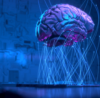 a brain scans a brain scans a brain scan