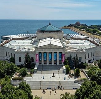 Shedd Aquarium Chicago