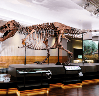 Field Museum Chicago