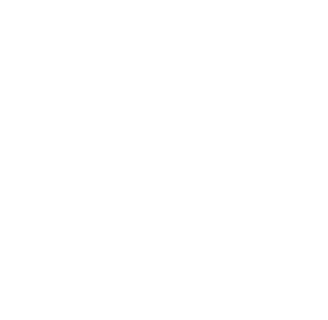 private security