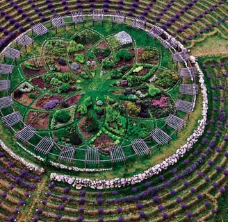 Lavender Labyrinth, Michigan