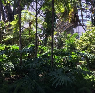 Plants inside Balboa Park Botanical Garden